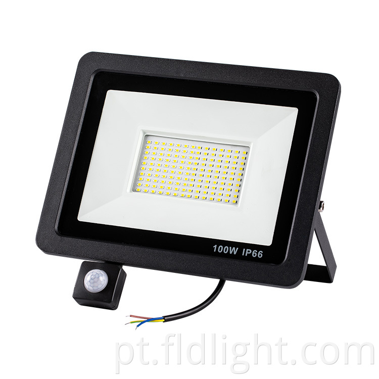  50W led flood light